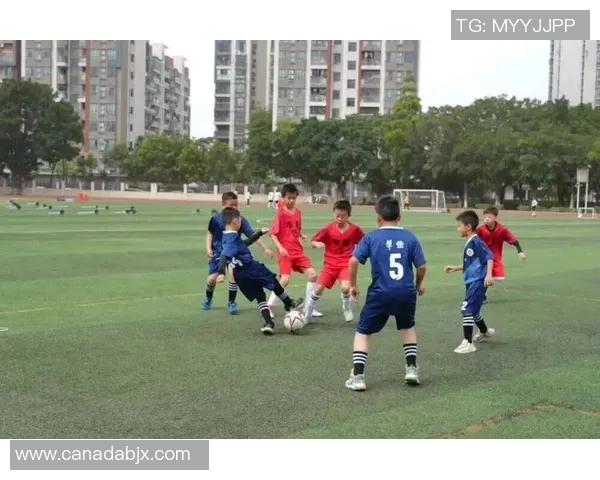 精彩八人制足球比赛视频集锦尽显团队协作与个人技巧的完美结合 精彩八人制足球比赛视频集锦尽显团队协作与个人技巧的完美结合