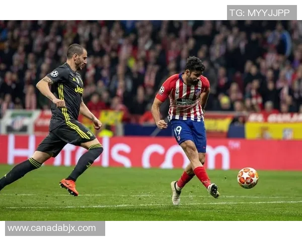 山猫与火花的激烈对决回顾2017年精彩瞬间与赛事分析